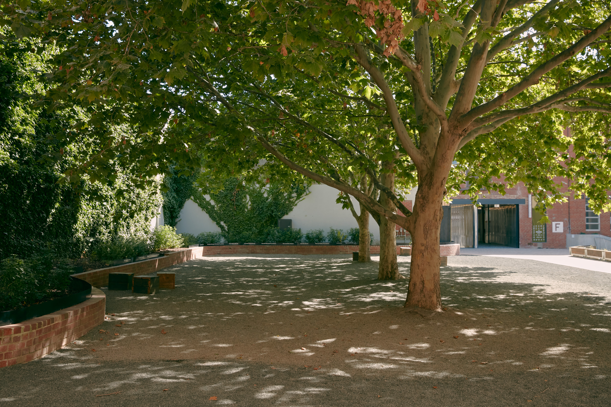 Empty courtyard with shady trees